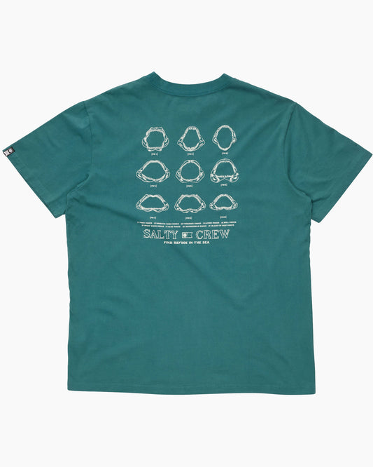 200358918A_Pigteal_6_1748321603