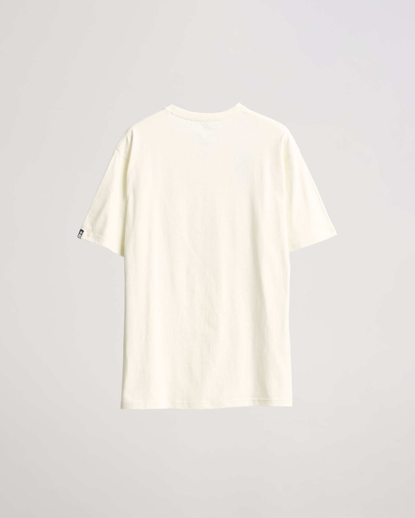 SCM41109_BONE_4_bitwin_1716242641