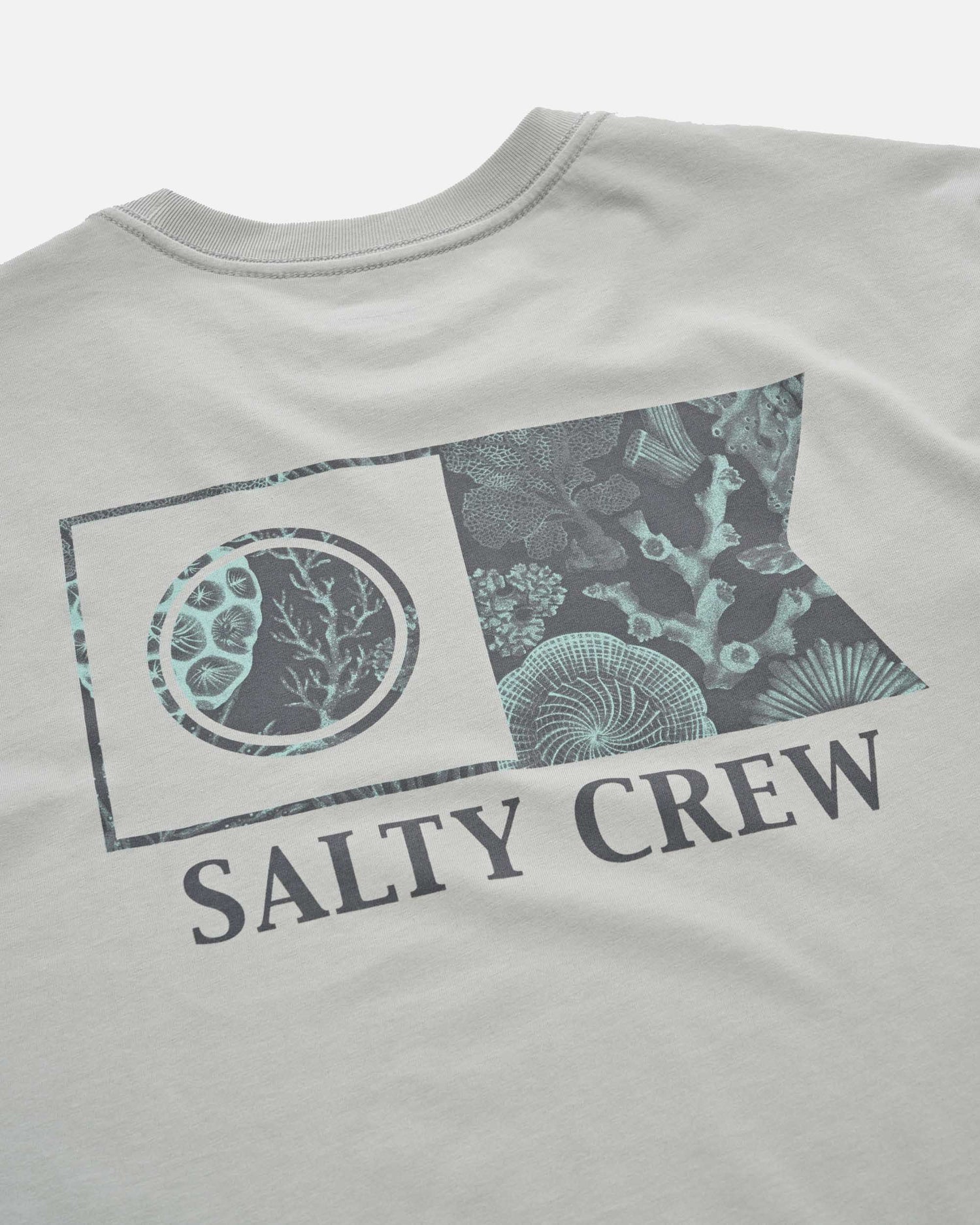 25035058A_QUA_4_1767907142