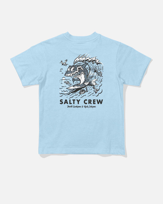 25035084TD_CSKY_1_1767757667