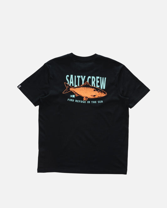 25035233A_BLK_1_1790656412