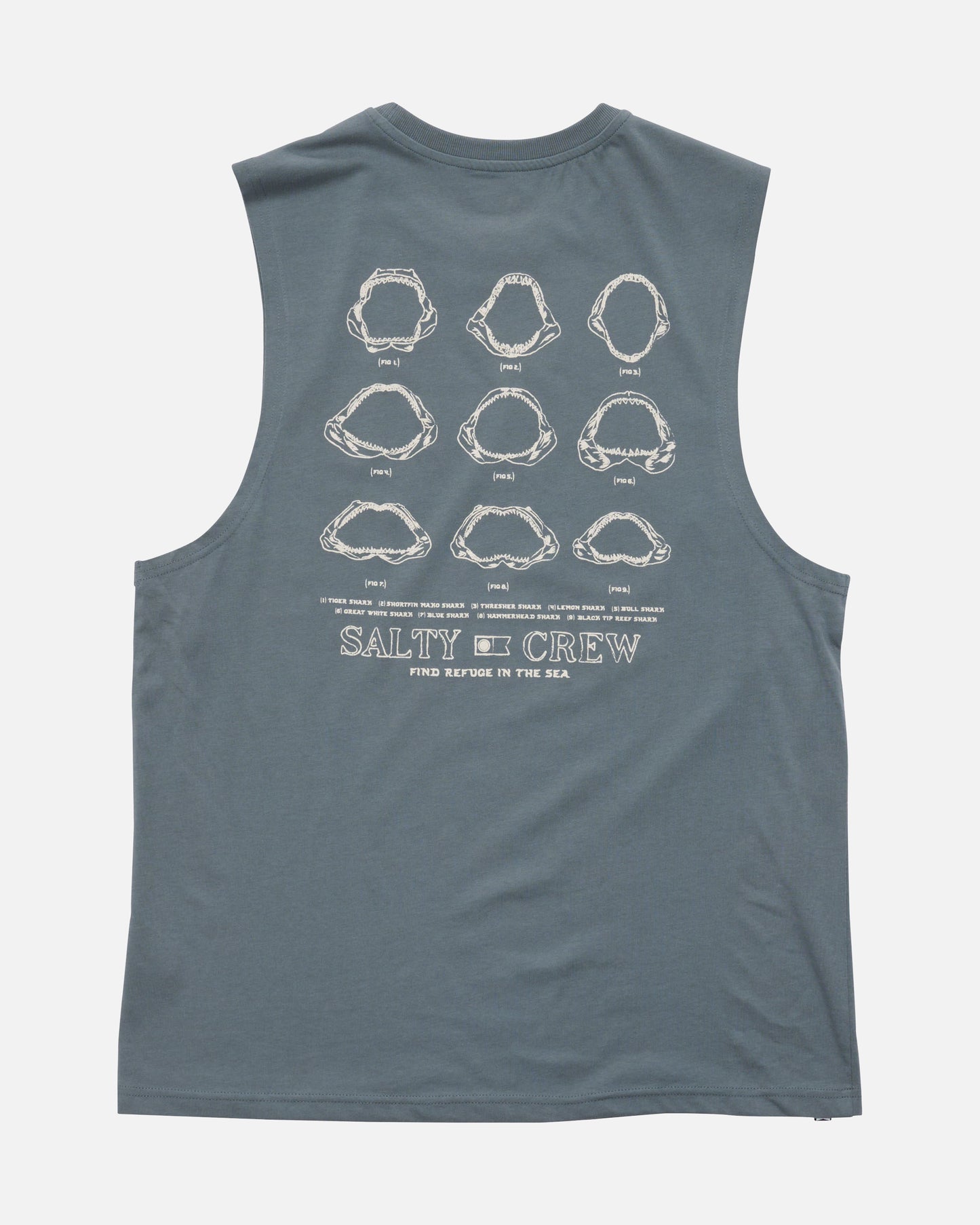 SCM51101_STRM_1_1758764910