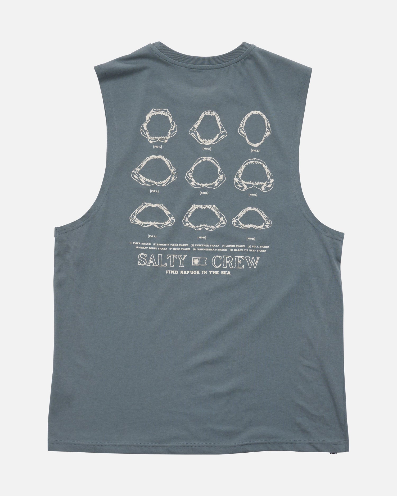 SCM51101_STRM_1_1758764910