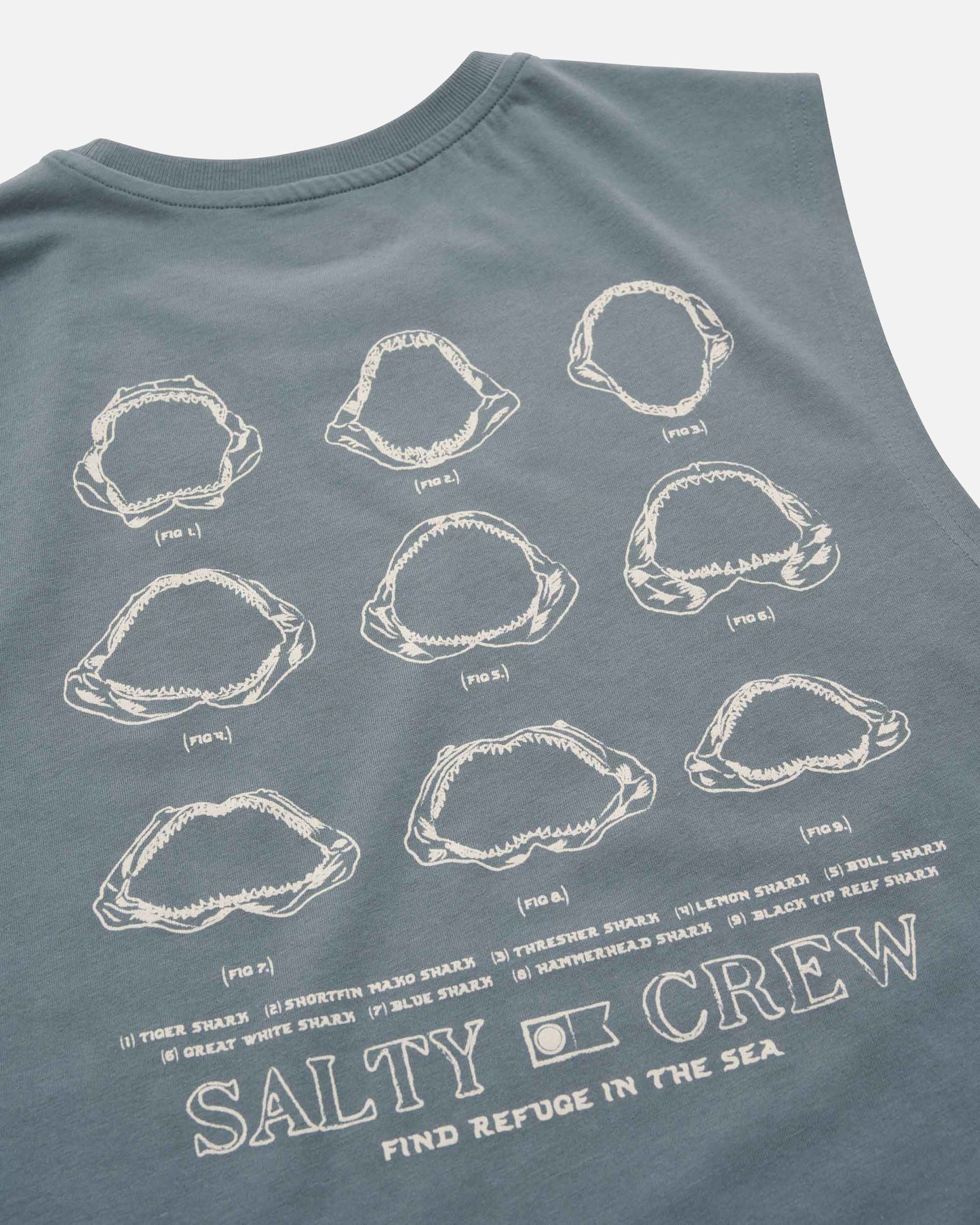 SCM51101_STRM_3_1758764911