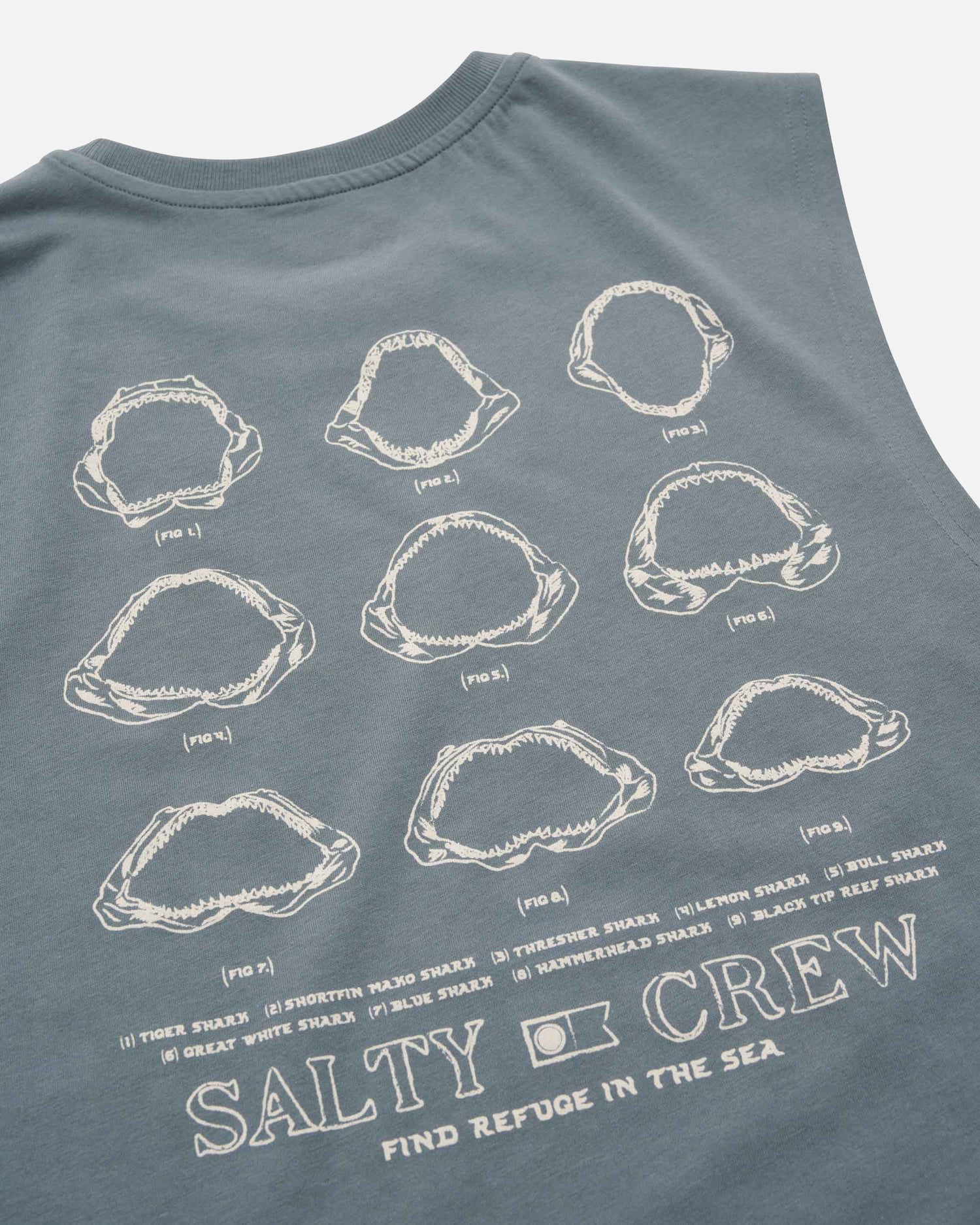 SCM51101_STRM_3_1758764911