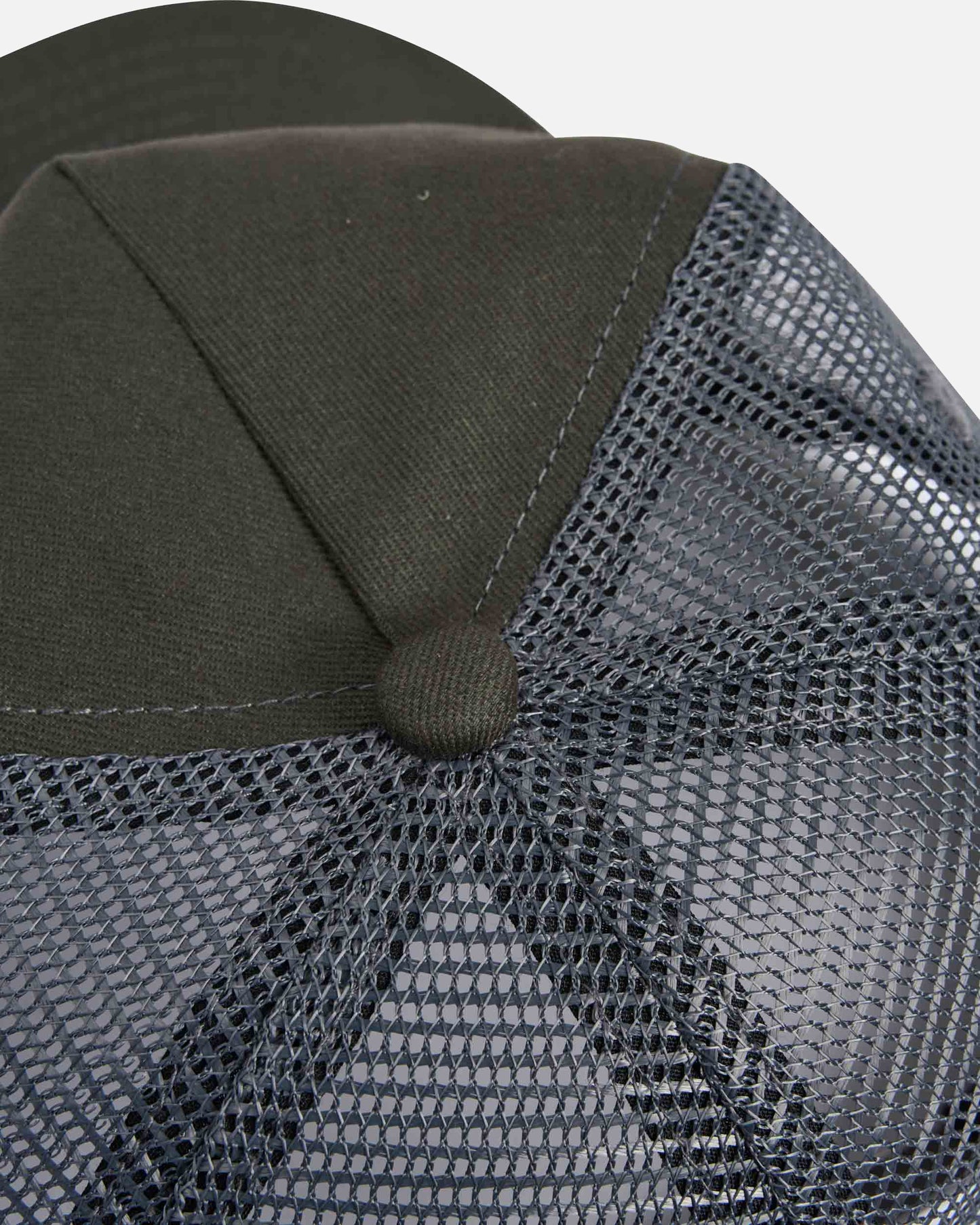 SCMA53002_COAL_4_1758765009