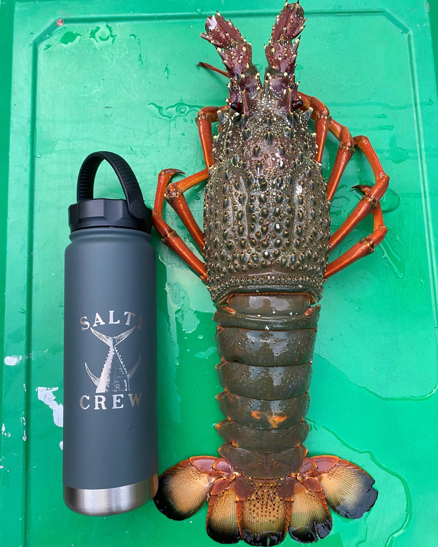 SCMA53007_CHAR_5_1761012785