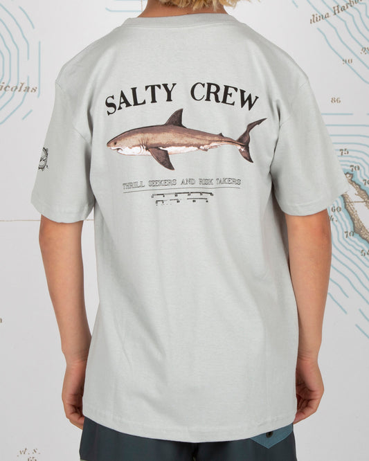 Bruce Boys S/S Tee - Silver