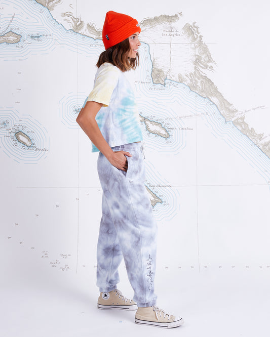 ALPHA SWEATPANT - Stone
